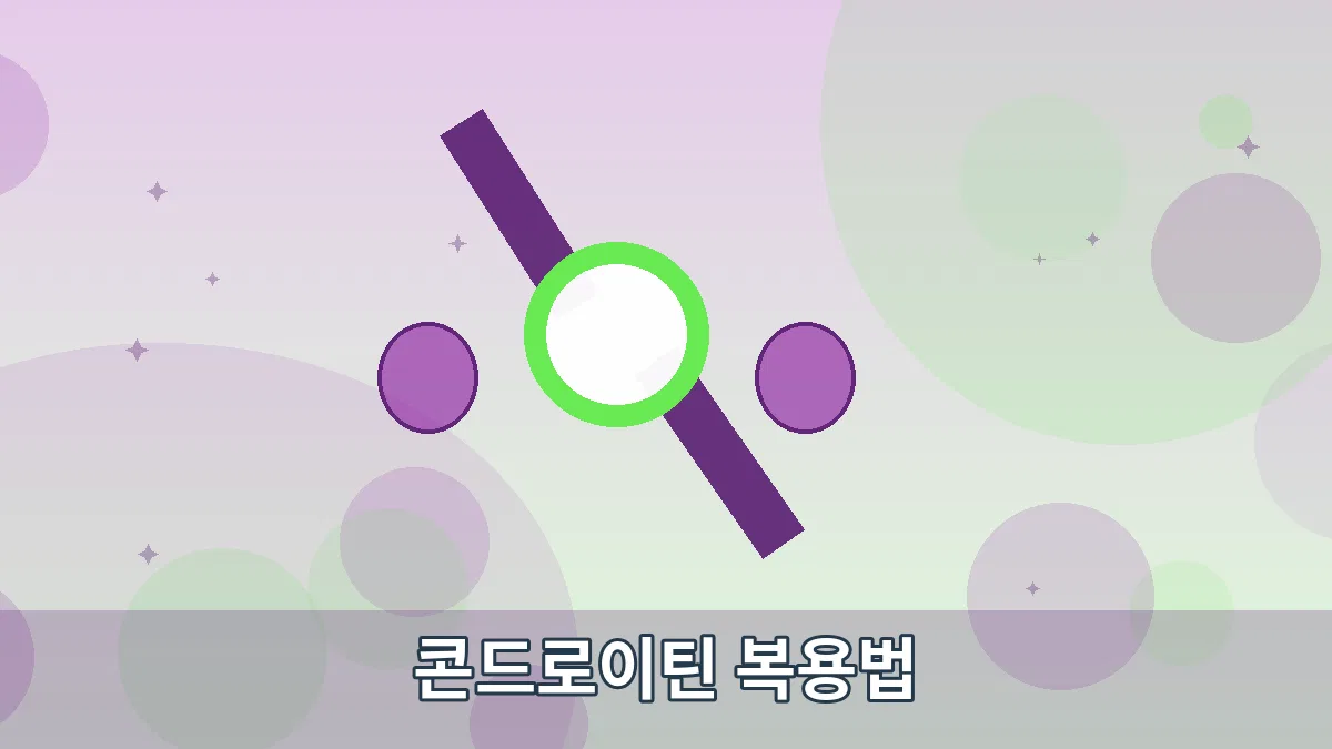 콘드로이틴 복용법 안내 이미지 3